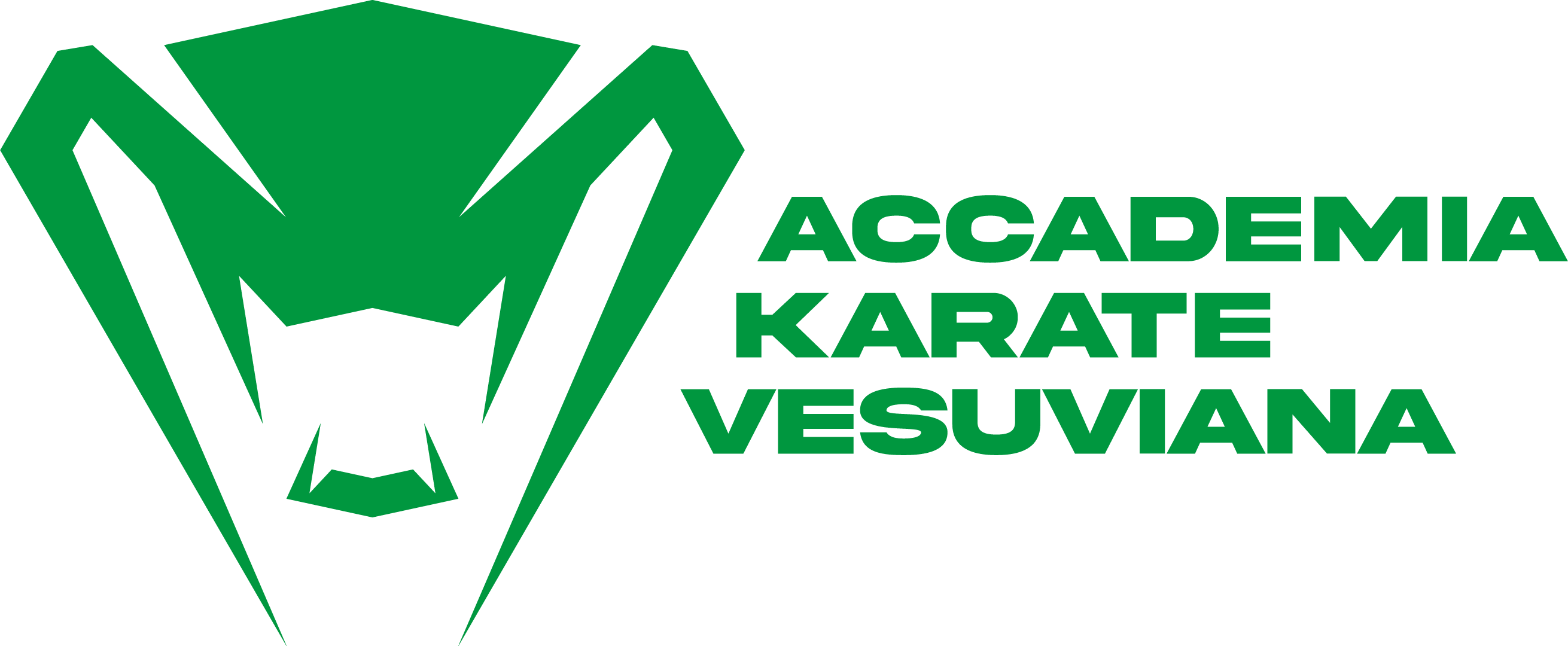 Accademia Karate Vesuviana